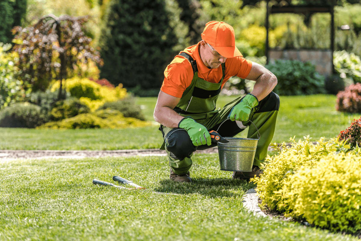 Grass Cutting Service