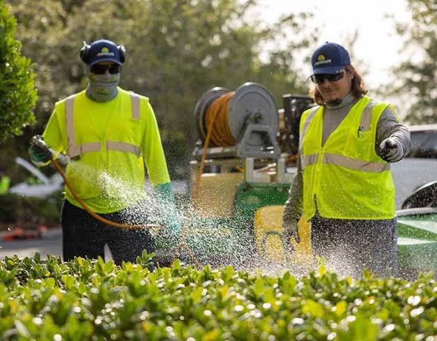 Professional Landscaping & Lawn Care Experts
