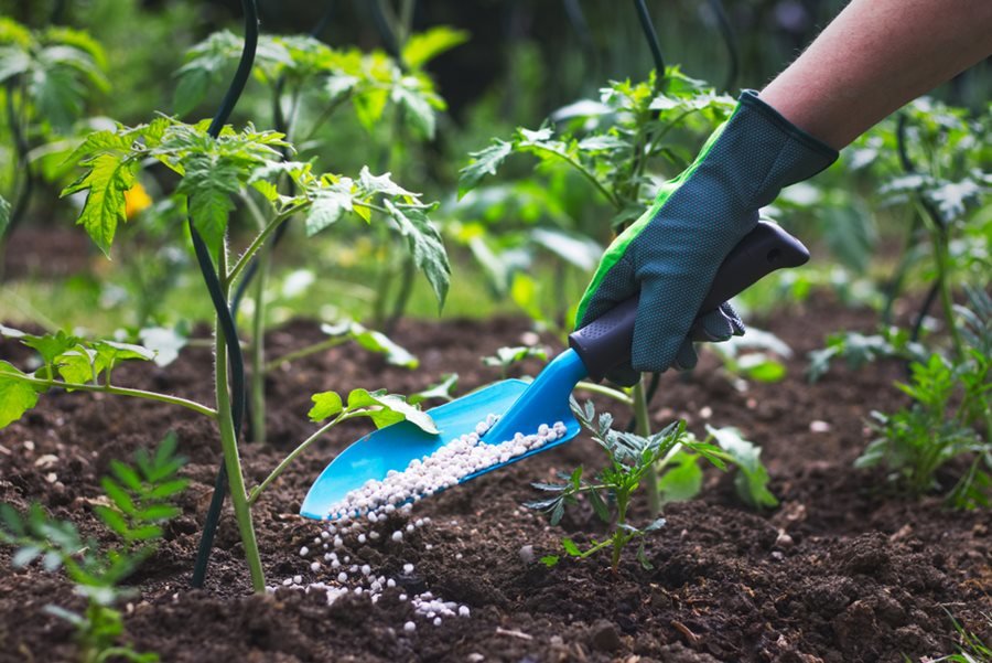 Landscaping & Installation
