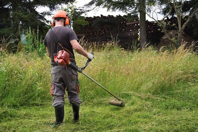 Overgrown Grass Problems