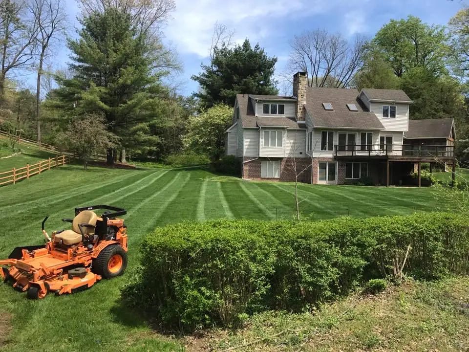 Professional Grass Cutters