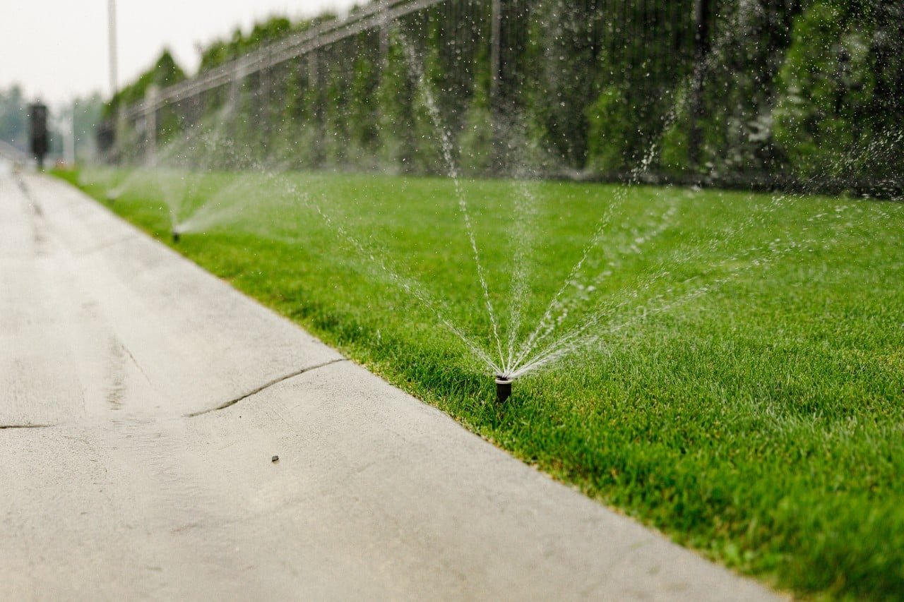 Lawn Care & Fertilization